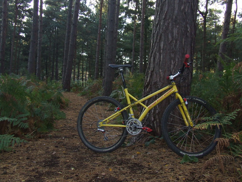 EWR Original Woods Bike